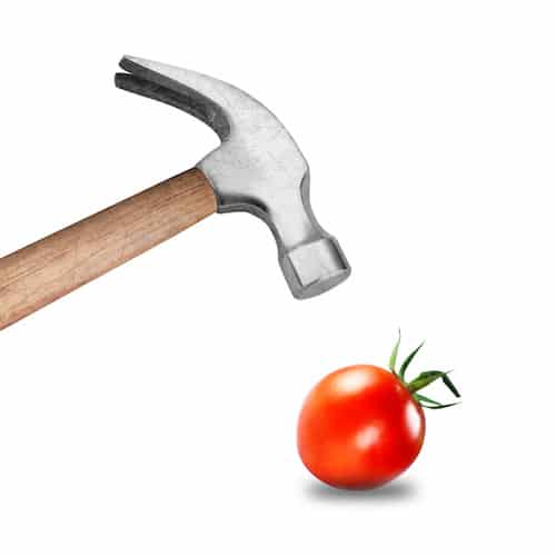sales training doesn't work tomato hammer